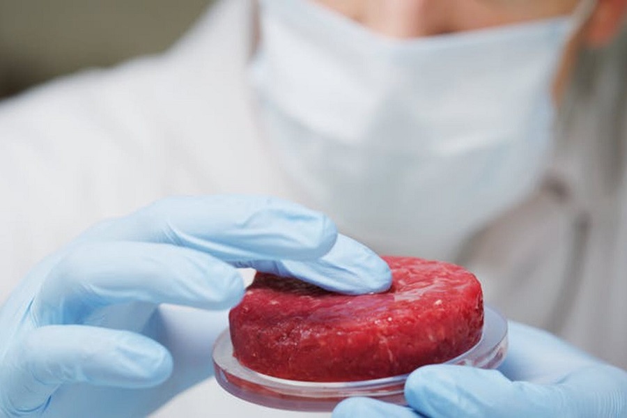 Governments are trying to ban lab-grown meat