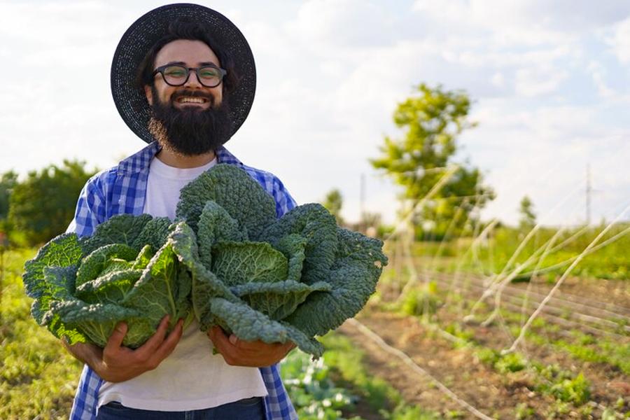 These farmers are leaving factory farming behind