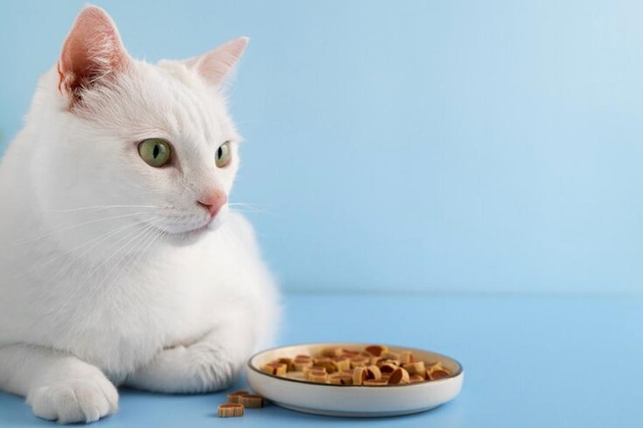 Lab-grown meat for cats to hit British supermarkets