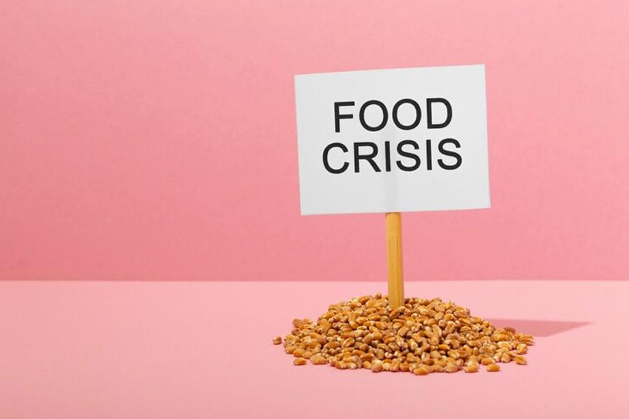 Global consultancy, PwC, warns of world food crisis