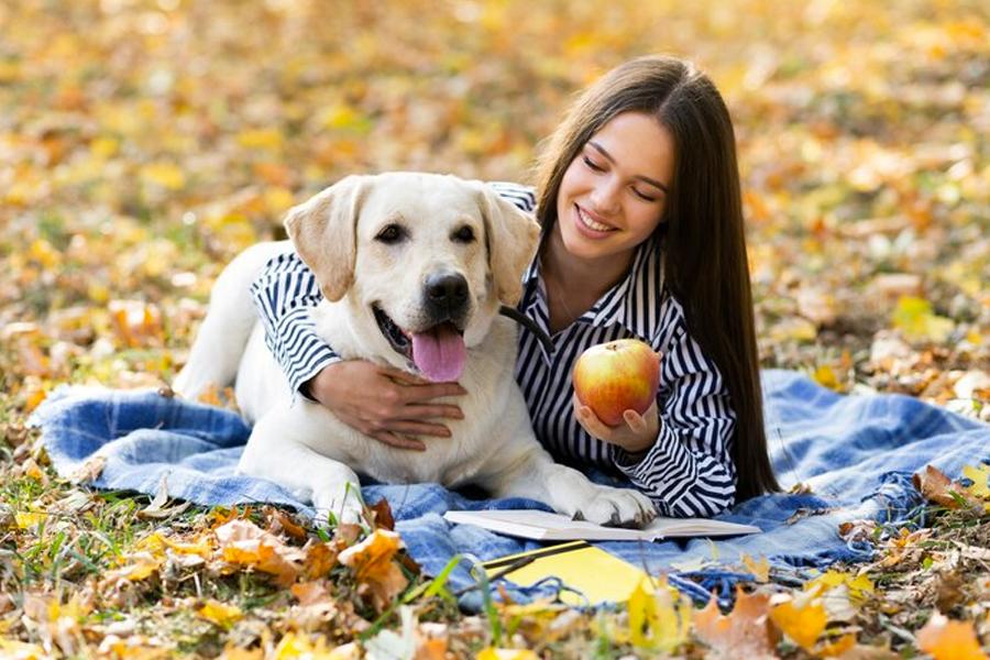 Study proves that dogs thrive on a vegan diet