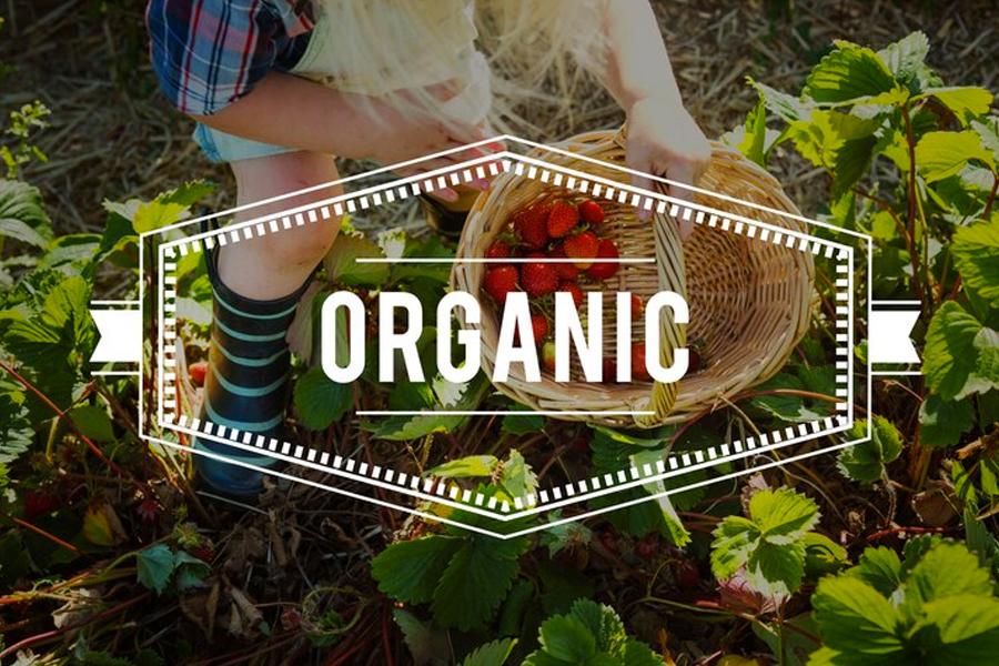 Why organic foods are less climate-friendly