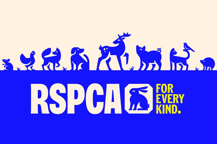 How the RSPCA became a byword for cruelty on an industrial scale