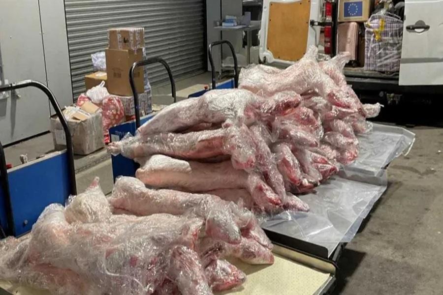 Illegal meat smuggled into UK could pose major health risks