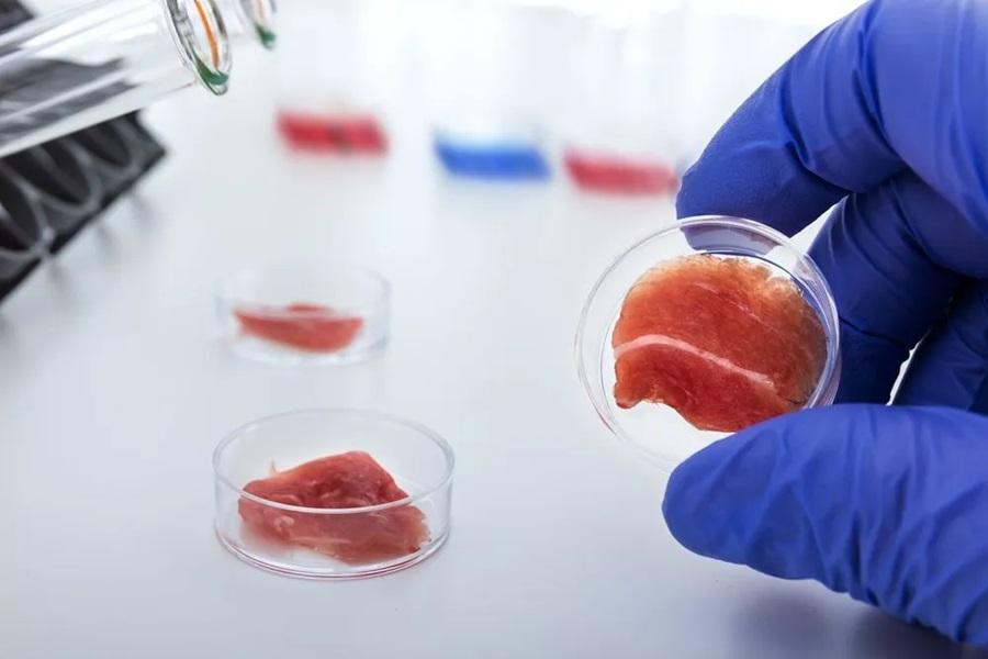 Could “lab-grown” be the future of food production?