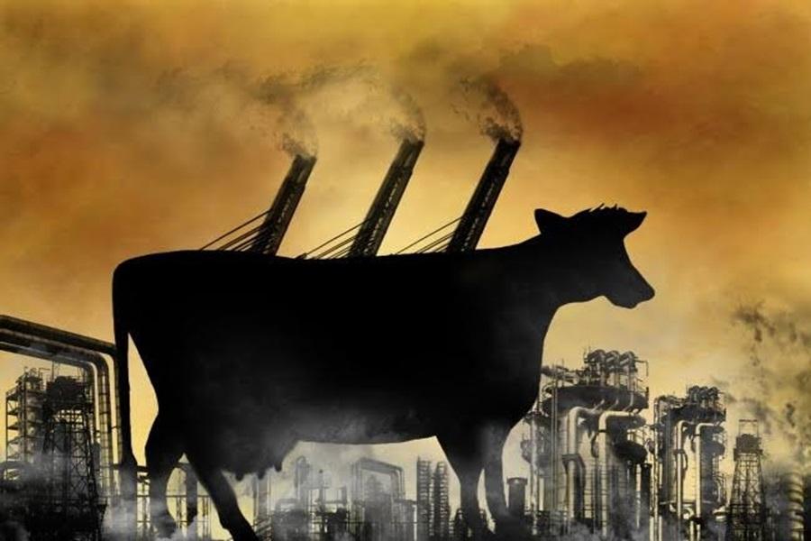 Media silence on meat and climate impacting efforts to save the planet