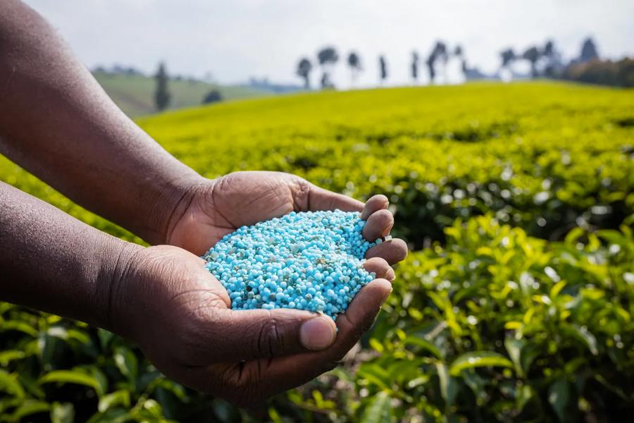 Nitrous oxide emissions are causing climate problems