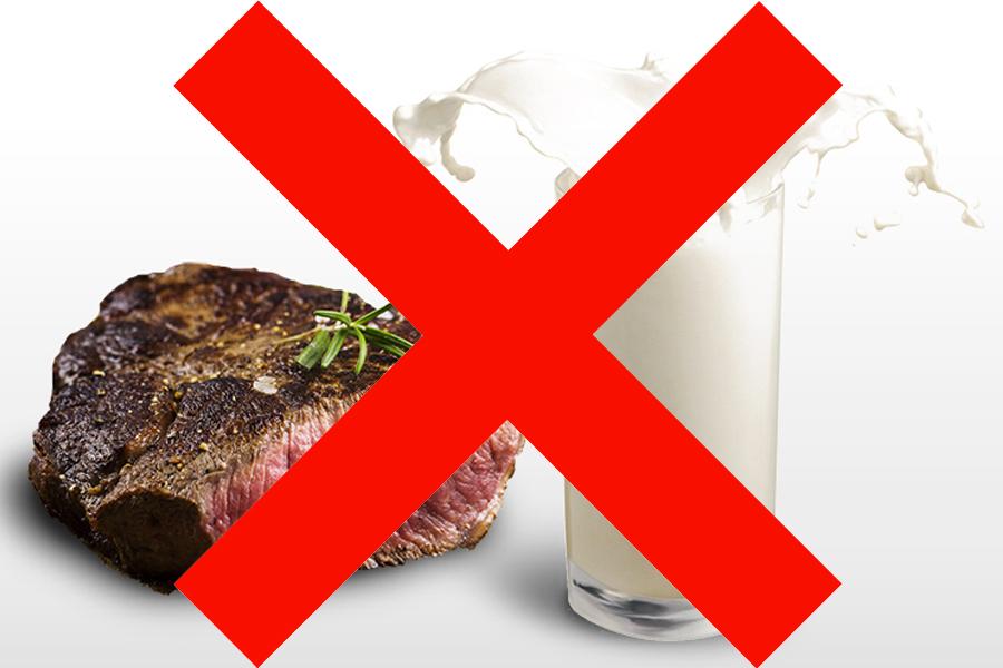 Why we need people to eat less meat and dairy
