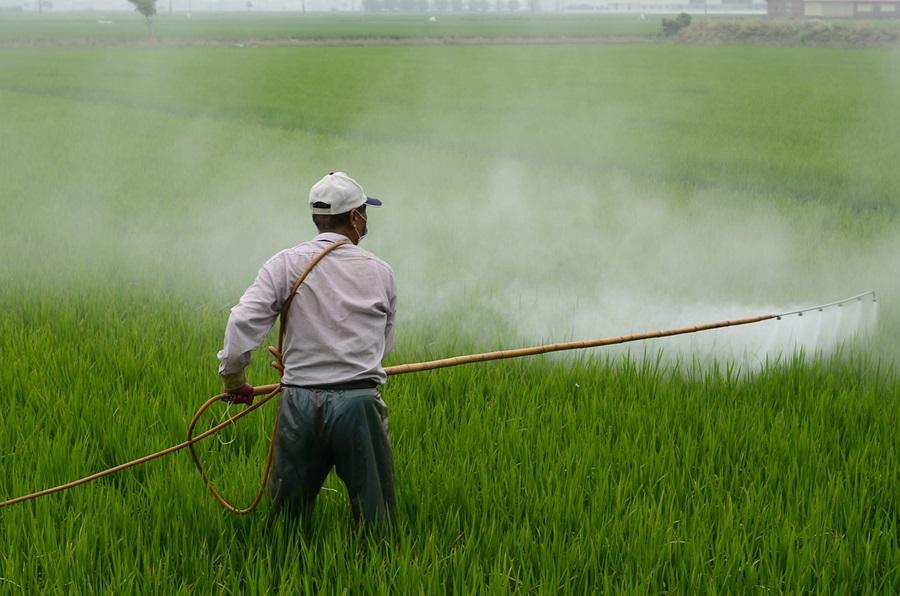 Climate change is making pesticides more harmful to farmworkers