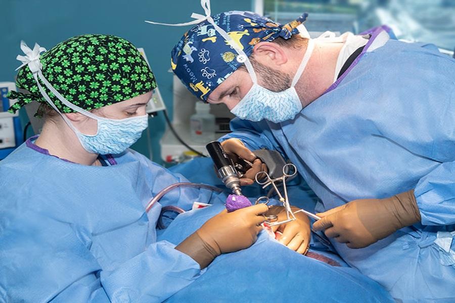 Live animals should not be used in surgical residencies