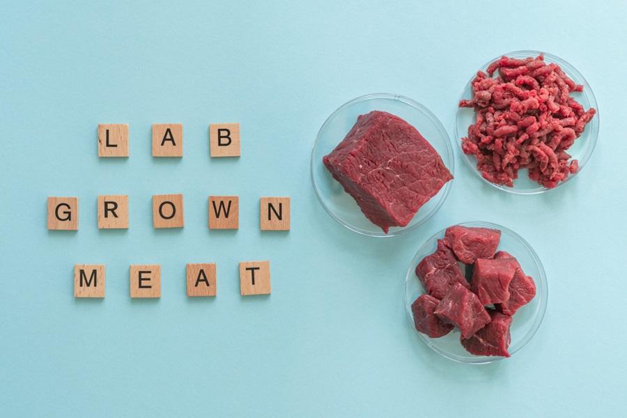 Lab-grown food industry could grow under new UK process