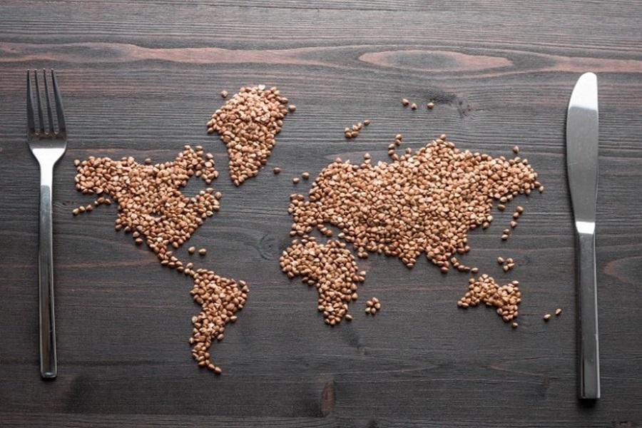 IPCC report calls for world to address food security