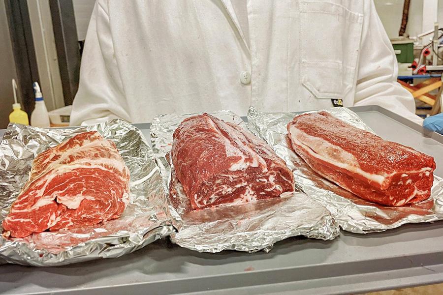 The vegan steak that will eliminate any reason for meat