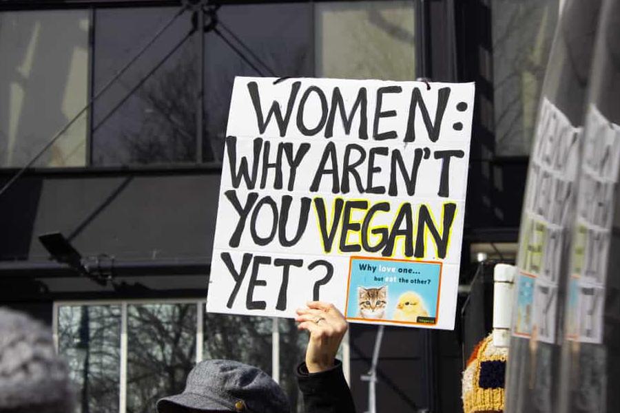 Why feminists should be vegan