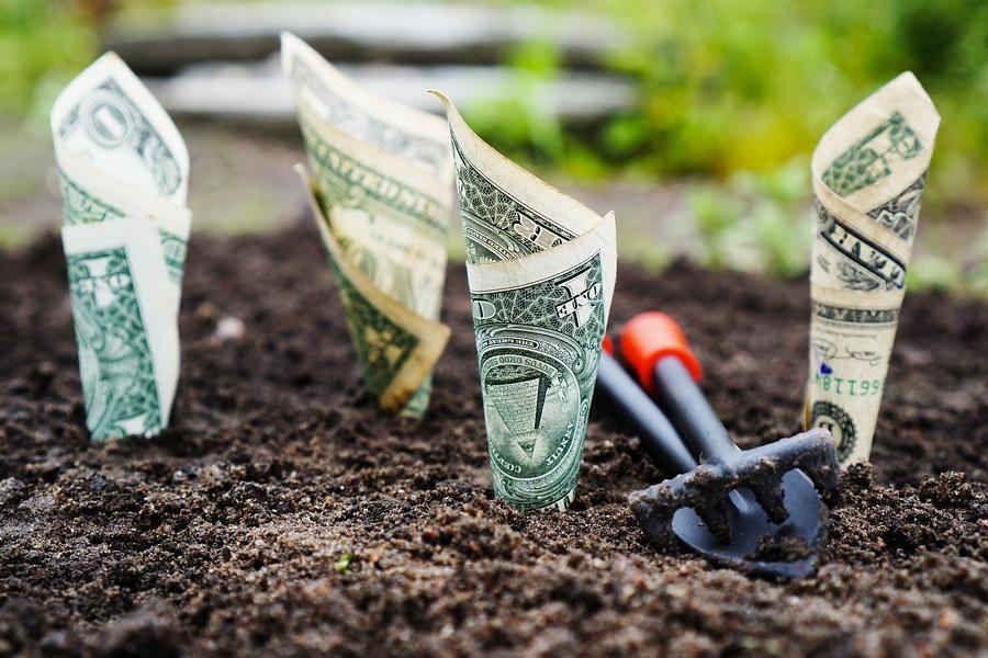 Most Americans want federal farm funding to go towards feeding humans