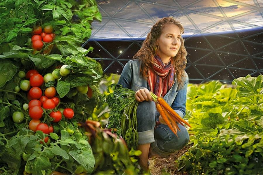 Could growing food in space help us with sustainable food growing on Earth?