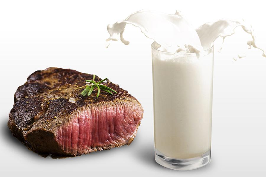 DNA molecules found in meat and dairy linked to colon cancer