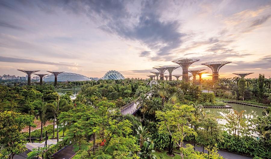 Singapore appoints Chief Sustainability Officer to meet environmental goals
