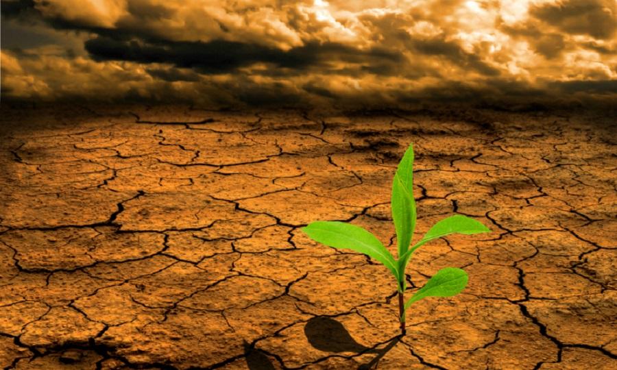 Are the tides turning in favour of animal rights and the environment?