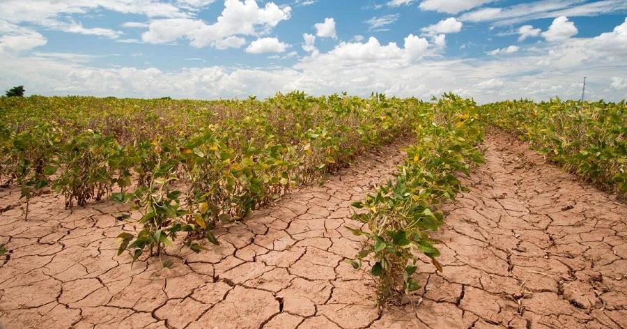 Climate change has begun to impact food security
