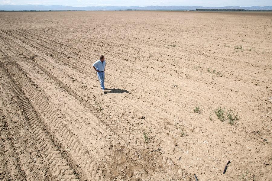 Expanding cropland isn’t helping with food insecurity, study shows
