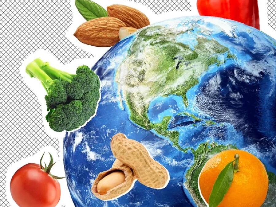 Ditch the keto and paleo diets and go vegan for your health and the planet
