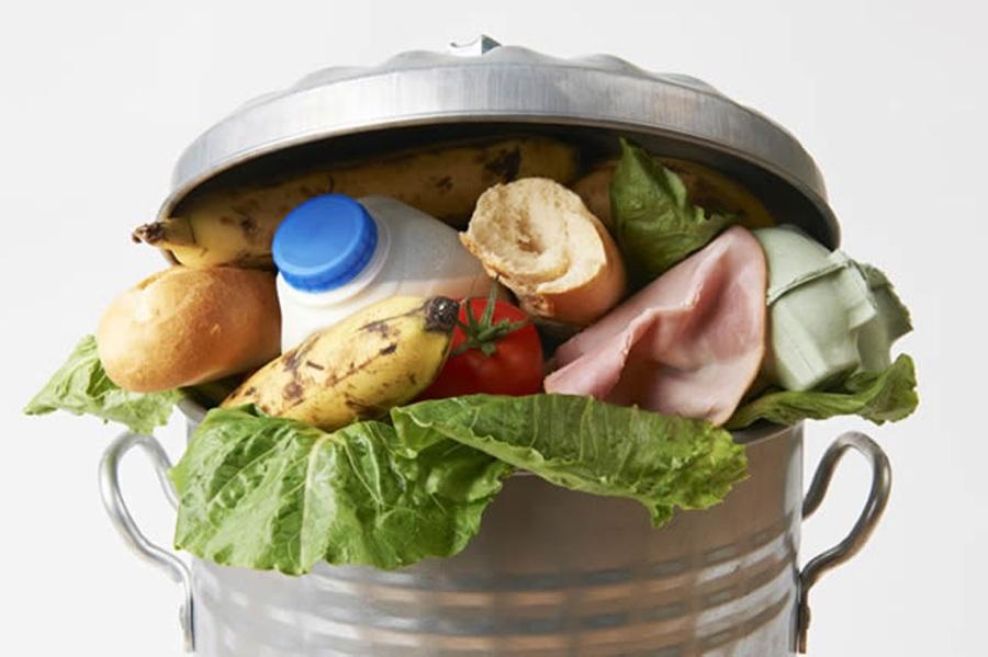 How  the US will likely deal with food waste under Trump presidency