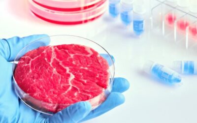 Alternative proteins are being revolutionised