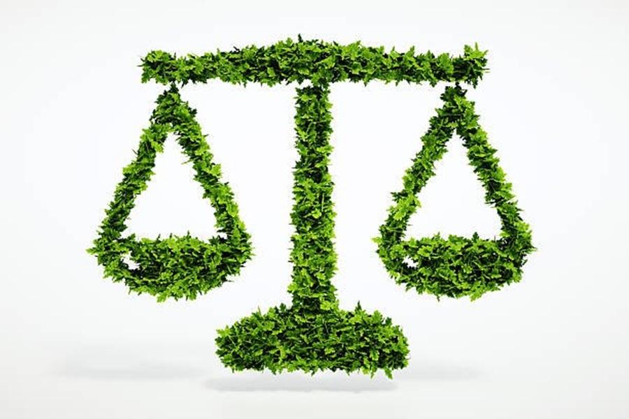 How legal battles are shaping climate justice