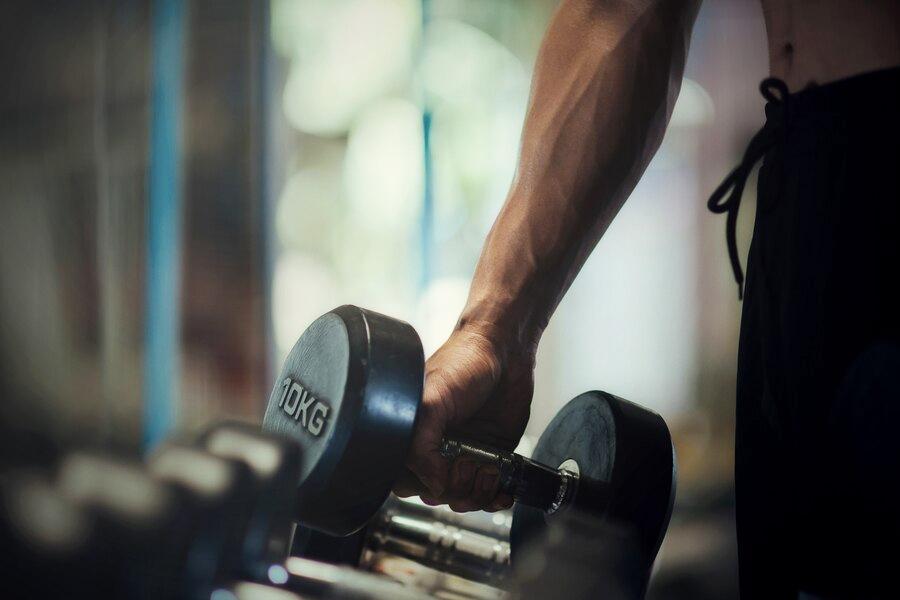 Plant-based protein builds muscle just as effectively as animal protein